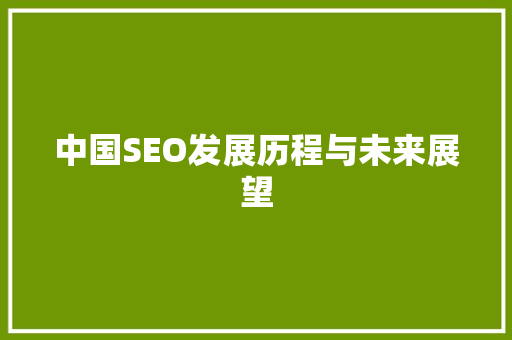 中国SEO发展历程与未来展望