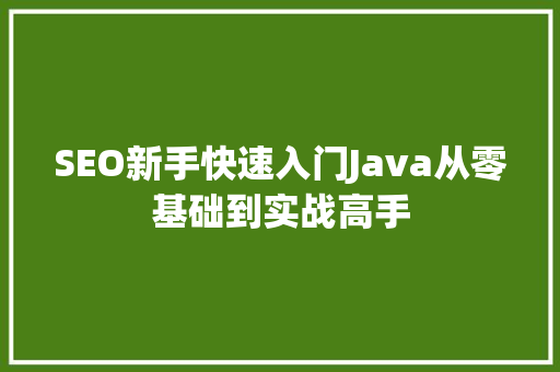 SEO新手快速入门Java从零基础到实战高手