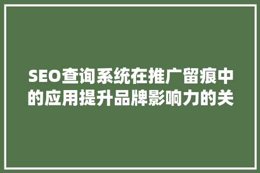 SEO查询系统在推广留痕中的应用提升品牌影响力的关键步骤