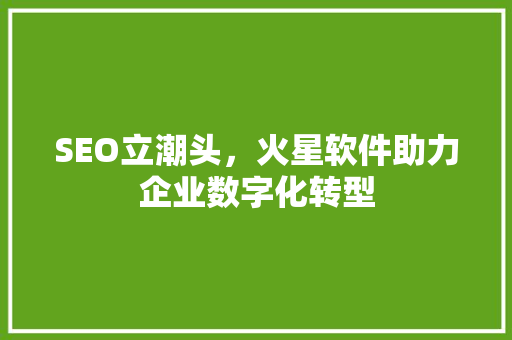 SEO立潮头，火星软件助力企业数字化转型