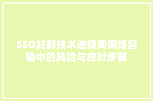 SEO站群技术违规词网络营销中的风险与应对步骤