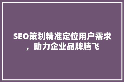 SEO策划精准定位用户需求，助力企业品牌腾飞