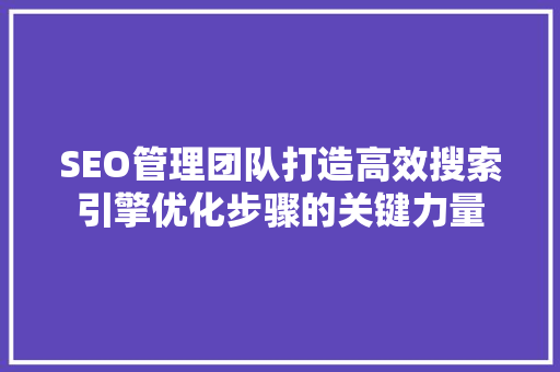 SEO管理团队打造高效搜索引擎优化步骤的关键力量