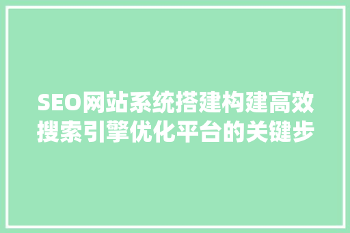 SEO网站系统搭建构建高效搜索引擎优化平台的关键步骤