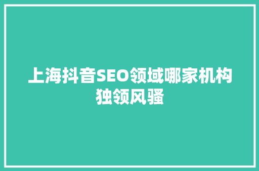 上海抖音SEO领域哪家机构独领风骚