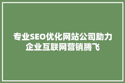 专业SEO优化网站公司助力企业互联网营销腾飞