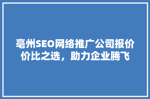 亳州SEO网络推广公司报价价比之选，助力企业腾飞