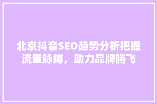 北京抖音SEO趋势分析把握流量脉搏，助力品牌腾飞