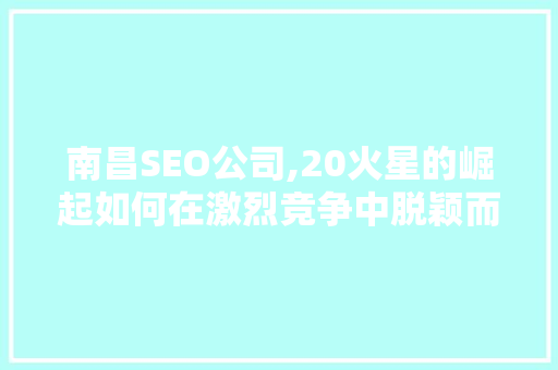 南昌SEO公司,20火星的崛起如何在激烈竞争中脱颖而出