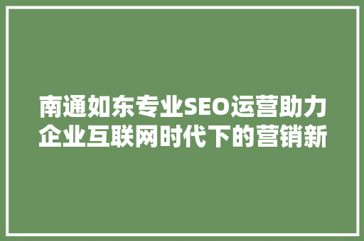 南通如东专业SEO运营助力企业互联网时代下的营销新篇章