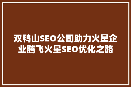 双鸭山SEO公司助力火星企业腾飞火星SEO优化之路