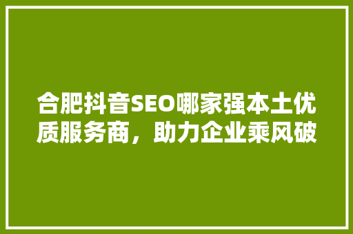 合肥抖音SEO哪家强本土优质服务商，助力企业乘风破浪