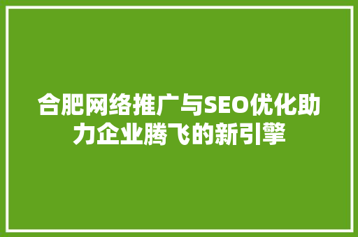 合肥网络推广与SEO优化助力企业腾飞的新引擎