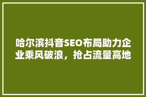 哈尔滨抖音SEO布局助力企业乘风破浪，抢占流量高地