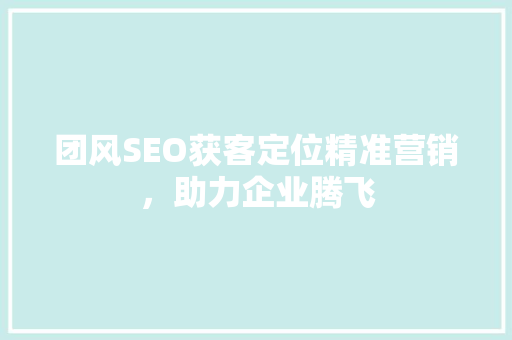 团风SEO获客定位精准营销，助力企业腾飞