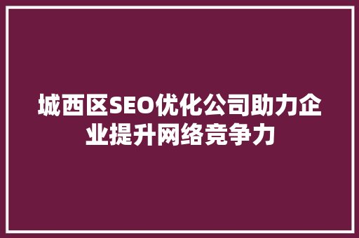 城西区SEO优化公司助力企业提升网络竞争力