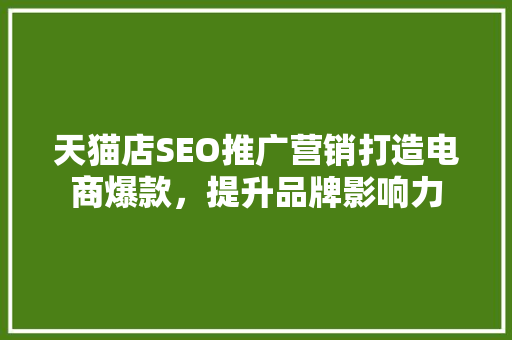 天猫店SEO推广营销打造电商爆款，提升品牌影响力