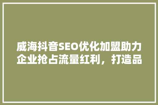 威海抖音SEO优化加盟助力企业抢占流量红利，打造品牌新高度