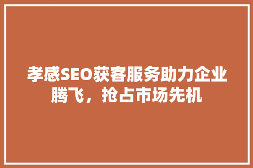 孝感SEO获客服务助力企业腾飞，抢占市场先机