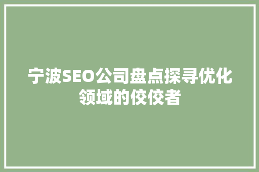 宁波SEO公司盘点探寻优化领域的佼佼者