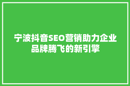 宁波抖音SEO营销助力企业品牌腾飞的新引擎