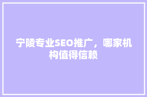 宁陵专业SEO推广，哪家机构值得信赖