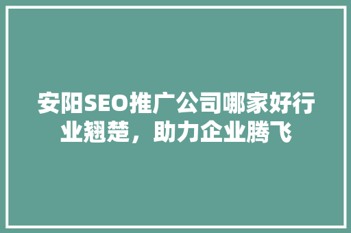 安阳SEO推广公司哪家好行业翘楚，助力企业腾飞