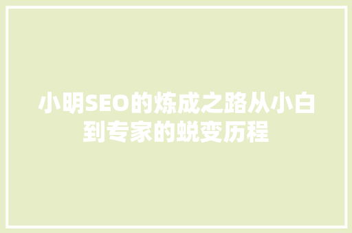 小明SEO的炼成之路从小白到专家的蜕变历程