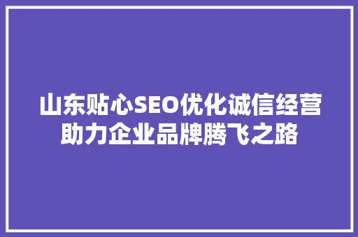 山东贴心SEO优化诚信经营助力企业品牌腾飞之路