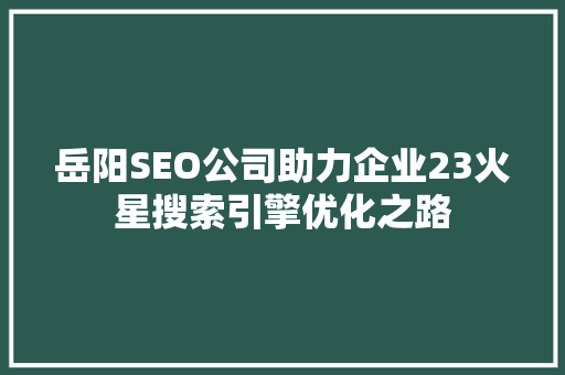 岳阳SEO公司助力企业23火星搜索引擎优化之路