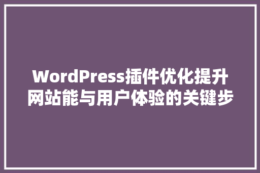 WordPress插件优化提升网站能与用户体验的关键步骤