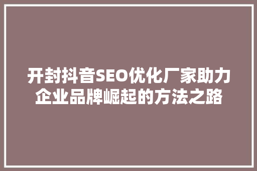 开封抖音SEO优化厂家助力企业品牌崛起的方法之路