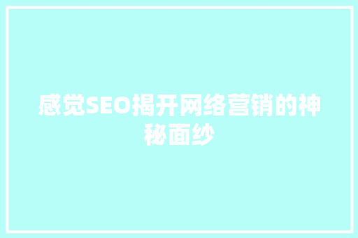感觉SEO揭开网络营销的神秘面纱