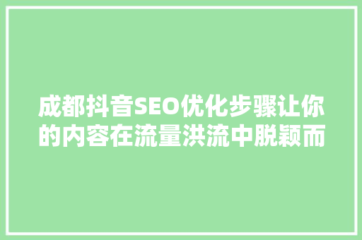 成都抖音SEO优化步骤让你的内容在流量洪流中脱颖而出