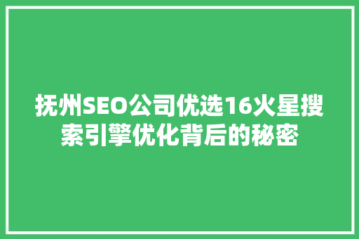 抚州SEO公司优选16火星搜索引擎优化背后的秘密