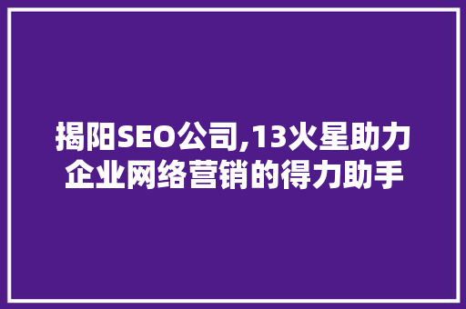 揭阳SEO公司,13火星助力企业网络营销的得力助手