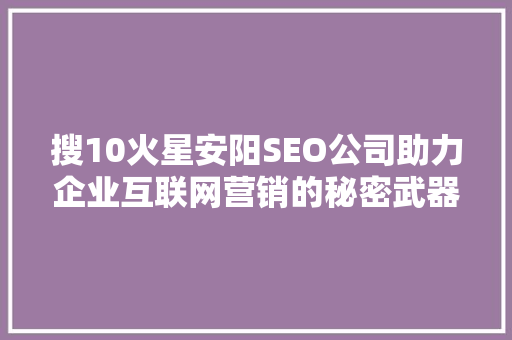 搜10火星安阳SEO公司助力企业互联网营销的秘密武器