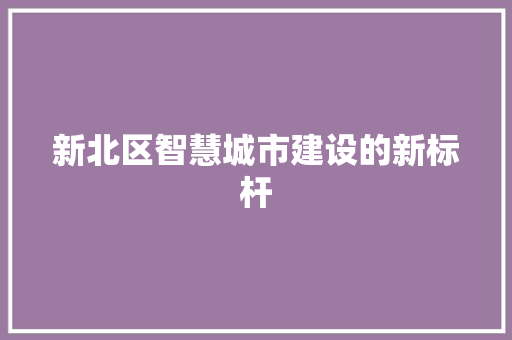 新北区智慧城市建设的新标杆
