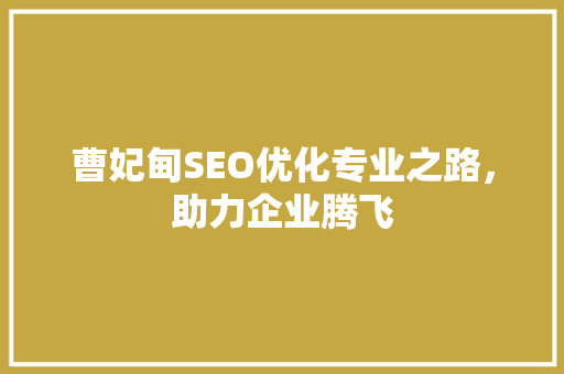 曹妃甸SEO优化专业之路，助力企业腾飞