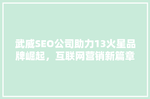 武威SEO公司助力13火星品牌崛起，互联网营销新篇章