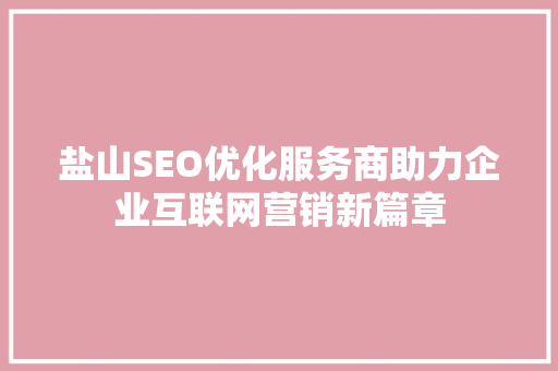 盐山SEO优化服务商助力企业互联网营销新篇章