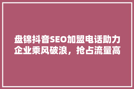 盘锦抖音SEO加盟电话助力企业乘风破浪，抢占流量高地