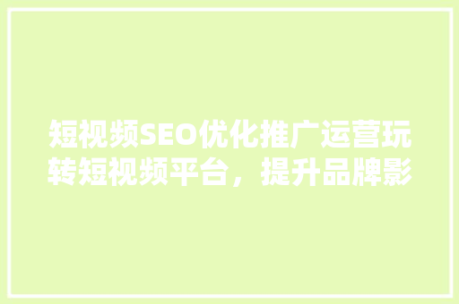 短视频SEO优化推广运营玩转短视频平台，提升品牌影响力