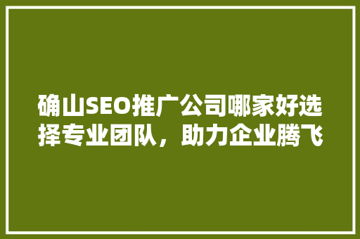 确山SEO推广公司哪家好选择专业团队，助力企业腾飞