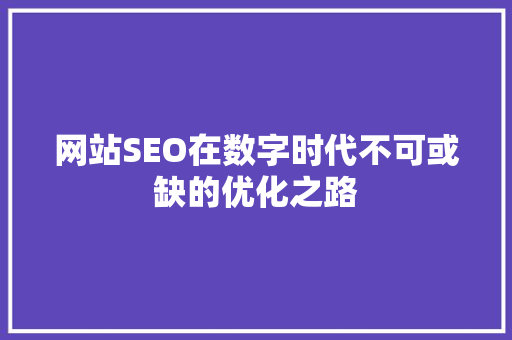 网站SEO在数字时代不可或缺的优化之路