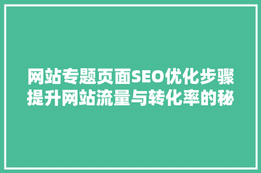 网站专题页面SEO优化步骤提升网站流量与转化率的秘密武器