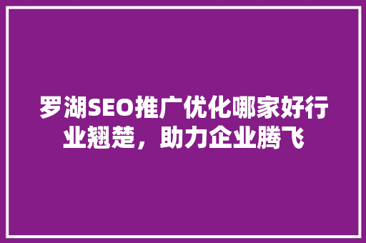 罗湖SEO推广优化哪家好行业翘楚，助力企业腾飞