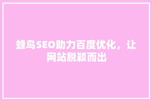 蜂鸟SEO助力百度优化，让网站脱颖而出