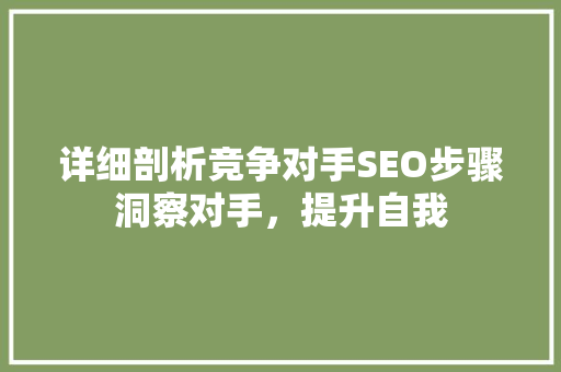 详细剖析竞争对手SEO步骤洞察对手，提升自我