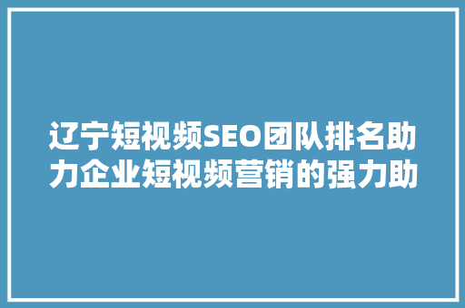 辽宁短视频SEO团队排名助力企业短视频营销的强力助手